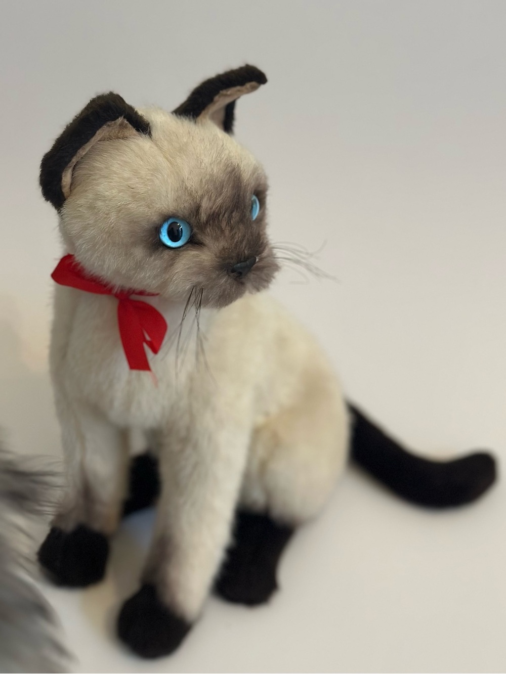 Plush Siamese Cat with Blue Eyes Realistic Cat 🐈